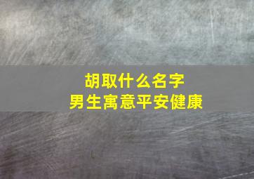 胡取什么名字 男生寓意平安健康